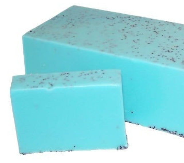 SAVON  SPORIASIS  A ALOE VERA 100G