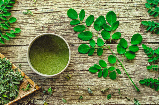 Les bienfaits du Moringa