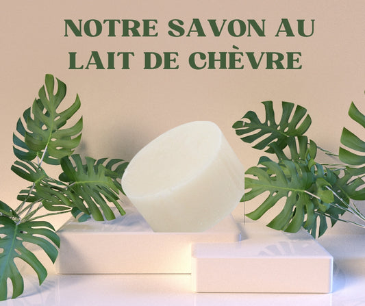 SAVON AU LAIT DE CHEVRE BIO 100 G